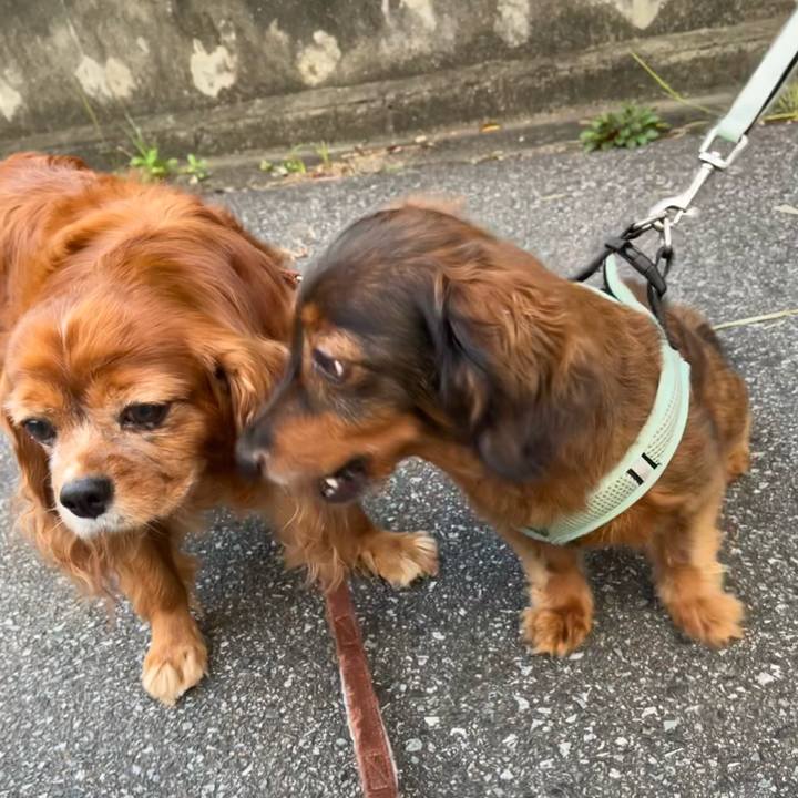 909b1685 353e 4c67 a1c0 fc651f9f273f 1694991201565