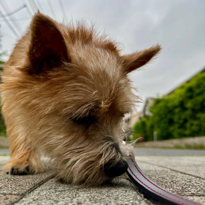 909b8fbe 4697 4b33 aad8 63f1e1906c4d 1716770779671