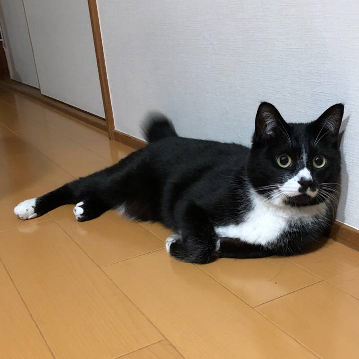 909b9bb7 0d28 4368 ac75 63a430e56b9d 1558928085842