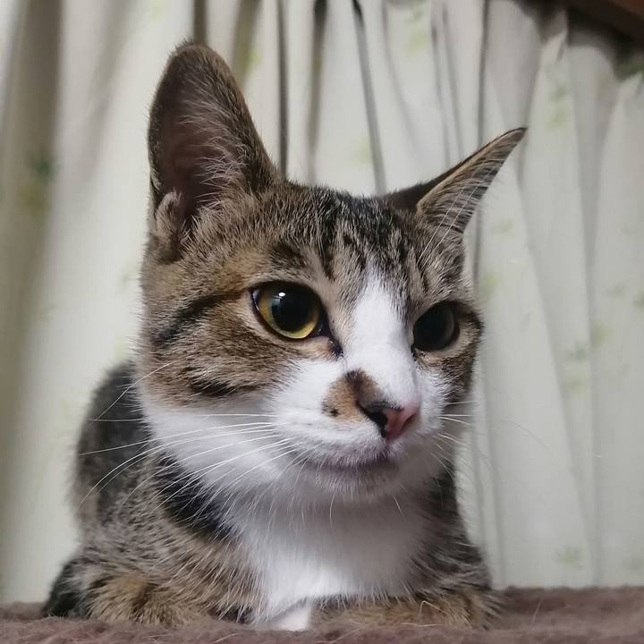 909bb21d 7ca6 4903 8ea9 19fc1e61d6f1 1667768889366