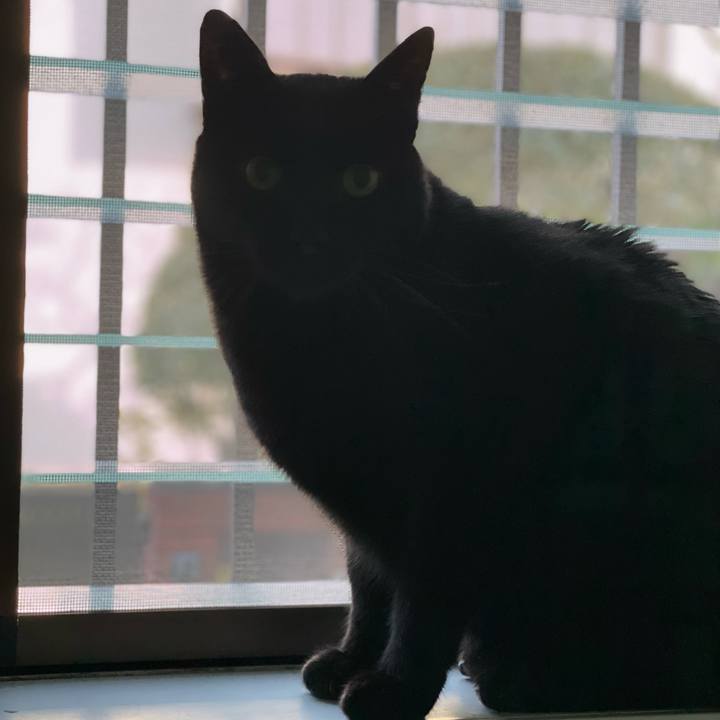 909bd91c 75f3 4aed 9665 5e5b8ddd6db0 1645579711502