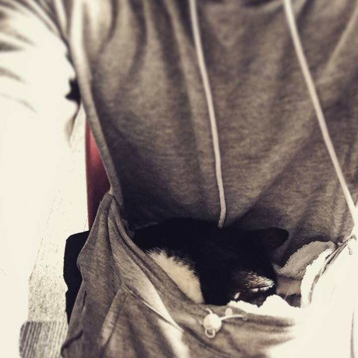 909c0903 4e37 41c5 abf4 c827c1950b40 1544246009874