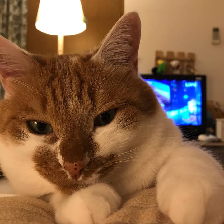 909c0b47 e5bf 45fd a205 d6e5338a2f96 1546269210876