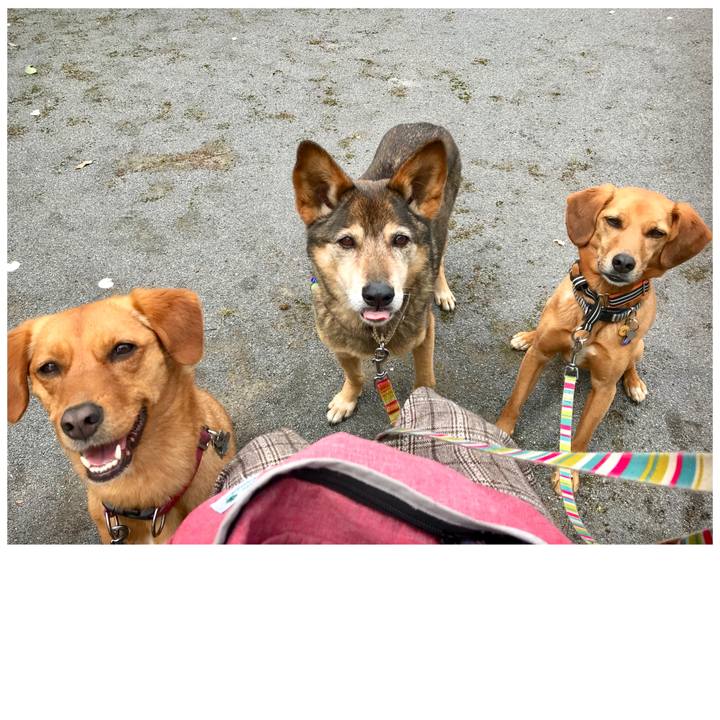 909c17f5 0b69 4236 ba3e 0b5f7130009a 1524793910194