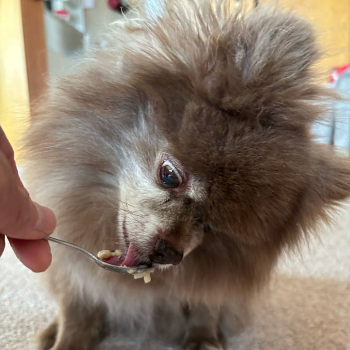 909c49ad afd4 4aab 9606 62bae3f3e959 1745128149266