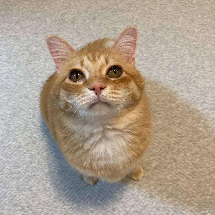 909cebad 5141 4932 9e72 2599950e7dba 1784206821308