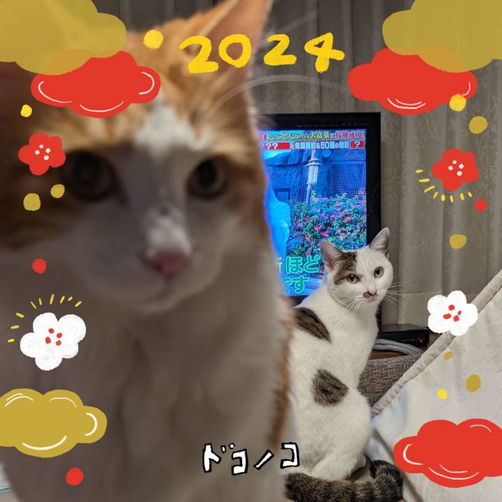 909d13c3 3ccd 4468 aab2 5ae1c2e952db 1704089415200