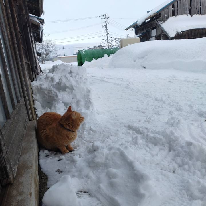 909d2ef2 8665 4200 b8ff 1f2841a428f3 1674987043540