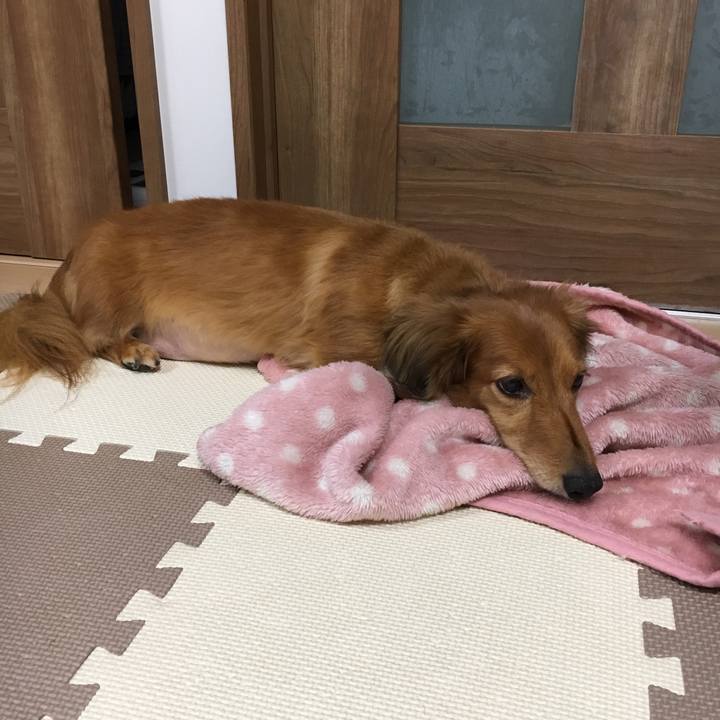 909d836c ee24 4f82 8e2c 0308ec769055 1538305157698