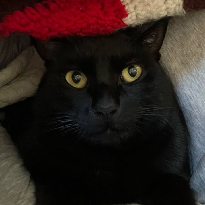 909deac5 5cfa 4446 acf4 318b03171c15 1677547881362