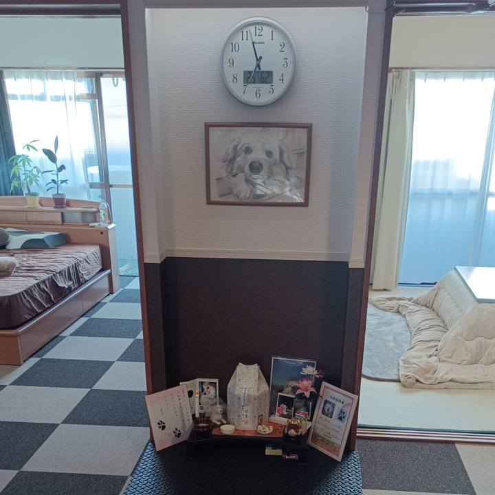 909e0286 5a4a 4180 b49d 5e178f1714c0 1760651944215