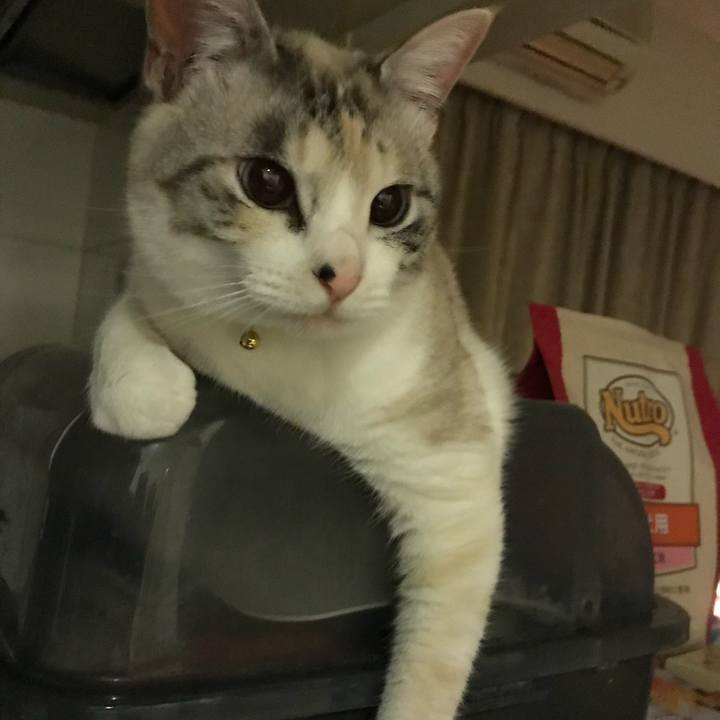 909e2545 772b 4ea5 b09f b420479670fd 1519999418020