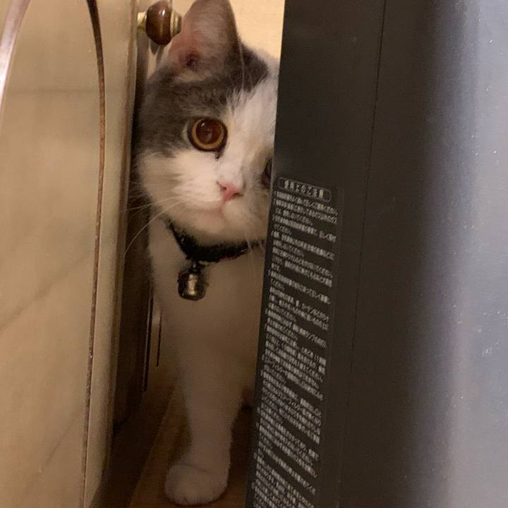 909e6be7 3e8d 4917 af97 75db07e4ba5c 1614557355135