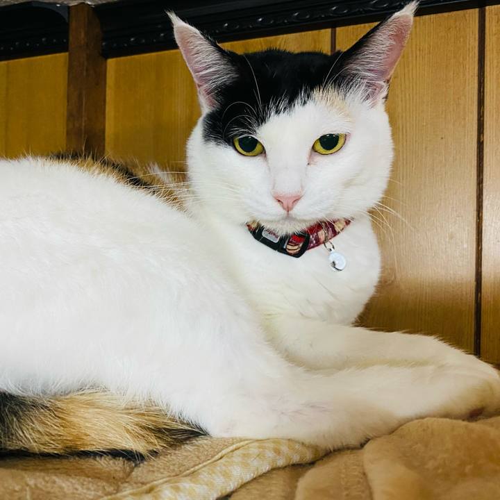 909e6f88 26ed 45a2 82f1 b6ecfefdb66d 1667576922679