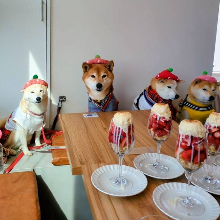 909ee91d 446c 484e 810b 518413b1582c 1742454947206