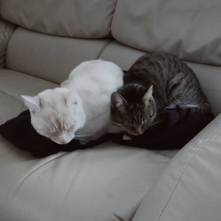 909efe77 e026 41a2 ae9c b8a89e12aea1 1644150933468