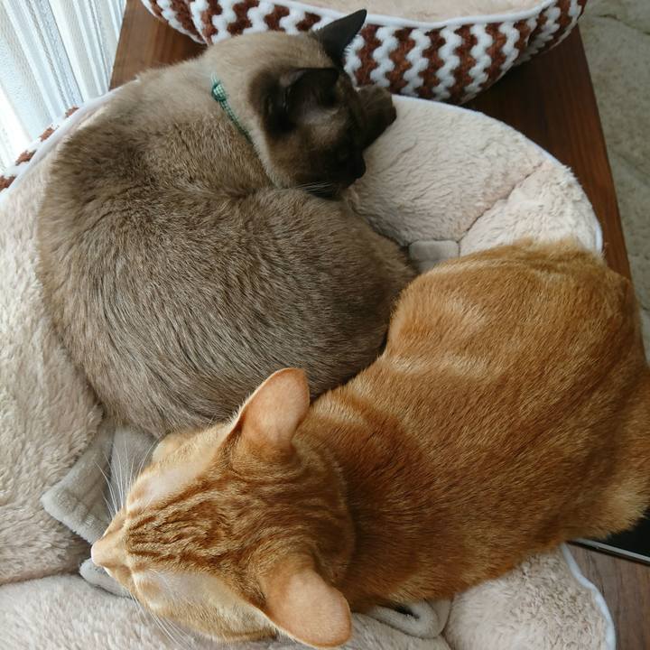 909f3777 d17a 464f af4a dc68176e16c4 1511416492064