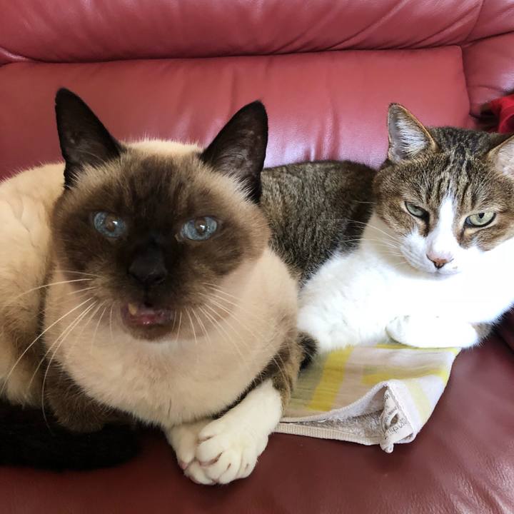 909f5234 c21c 4f1e 937a dea1fda5697f 1538888972372