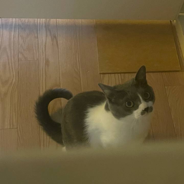 909f7f94 9689 42fc b5a5 493b1d8409de 1644916653805