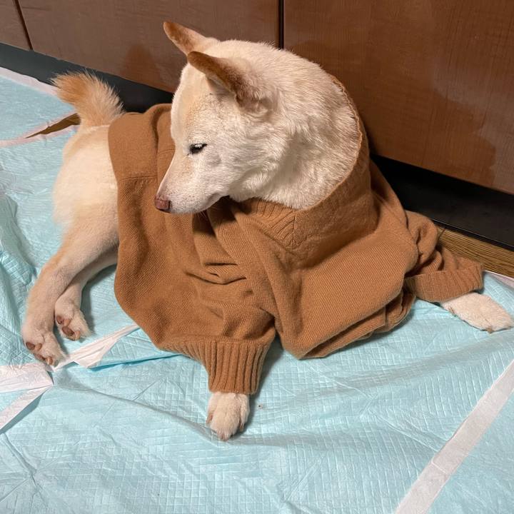 909f8e48 61ed 44e7 9b3d fa3bb73bd8b0 1641648730489