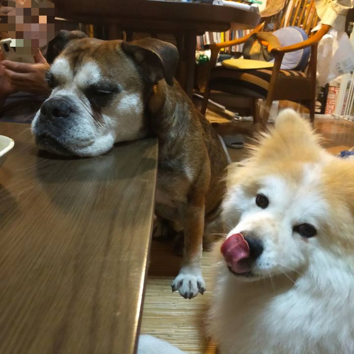 909fa0a2 ca78 42d6 bd46 874ff9919e86 1656252552583