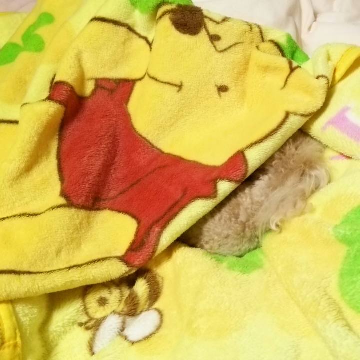 909fd45d 768b 4059 88ae 43d18f97448a 1550064346018