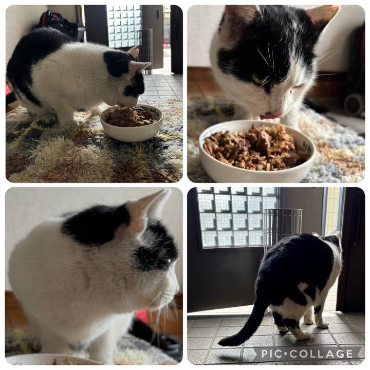 90a024f4 843c 4c47 bcf8 d8a628166e14 1769142193574