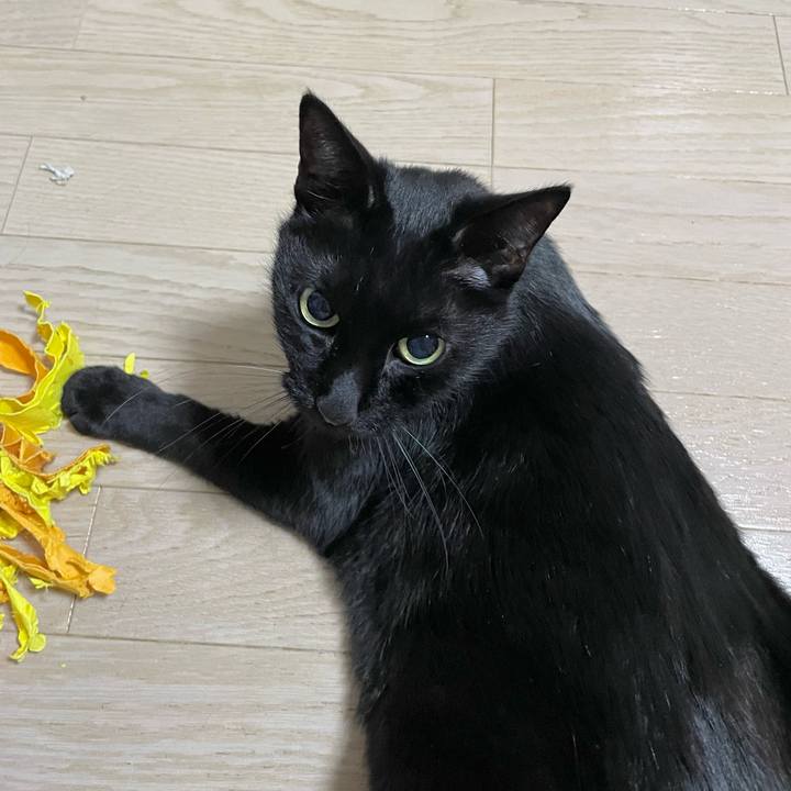 90a03313 db9d 4710 bb8f 07d5e5c323da 1766838180388