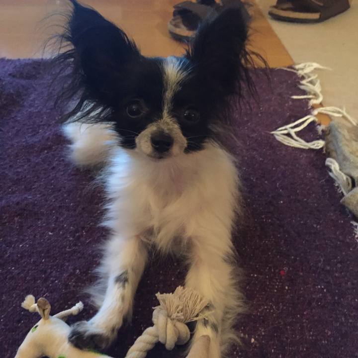 90a03c36 caae 4c72 a359 d2eadfffe80e 1586985345510