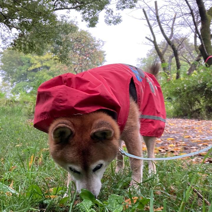 90a041f2 6566 46e6 8eb6 a9b2b4b7f6cb 1760160418684