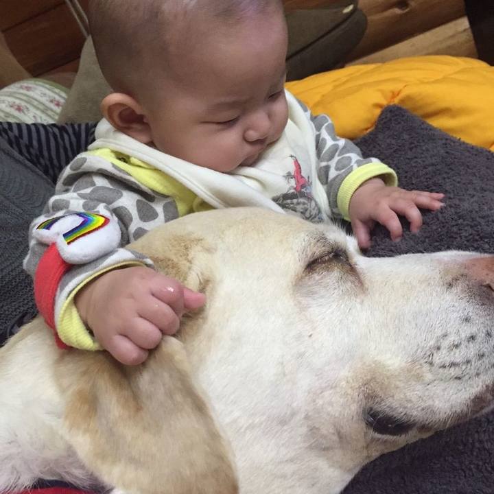 90a04b20 a86f 474c 8661 383b74361599 1514945901161