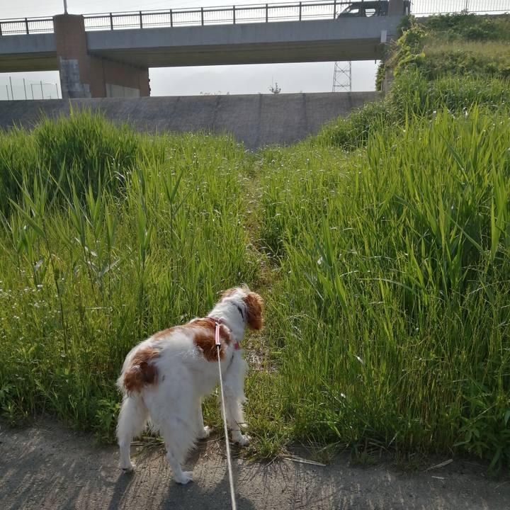 90a08836 7cf3 4430 8247 b2a3c81466e4 1591141156950