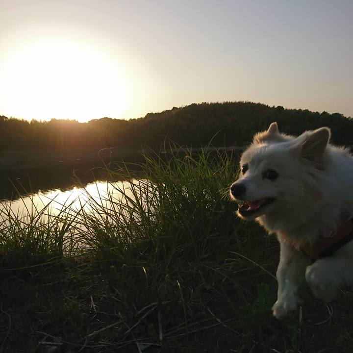 90a0cf05 e8f7 443b a3ea d9a3a437f732 1555926509766