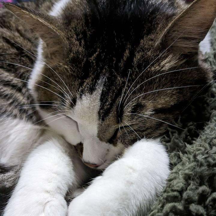 90a0d4e2 6c60 4d5a baa9 f687e6ba2512 1701606161646