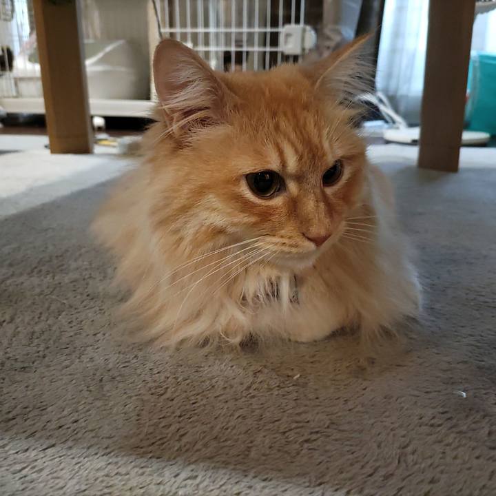 90a0d982 67bf 4731 b662 4199f85bfd61 1683495317462