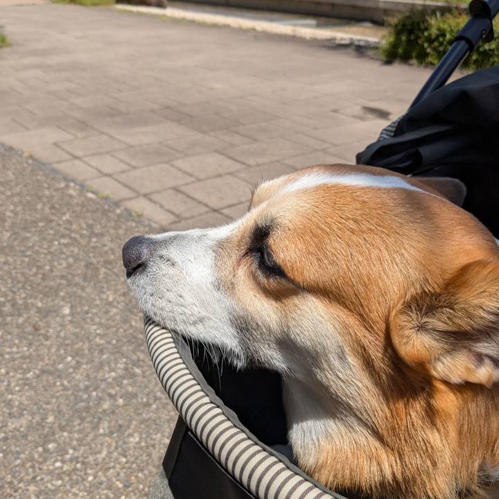 90a0de43 df27 4773 82b8 e285d96d3a74 1746934301532