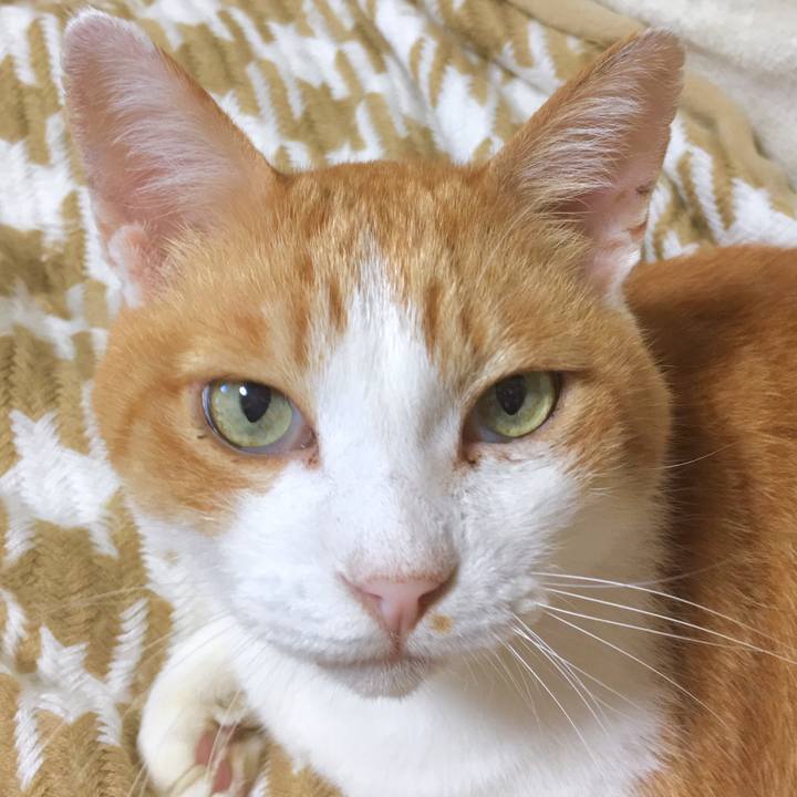 90a0f0da 7684 4c89 891e 024dc519b821 1569566604323