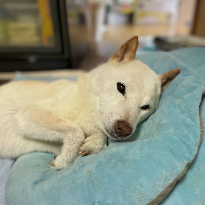 90a0f897 a325 4100 80c9 fa22beee8238 1656738797317