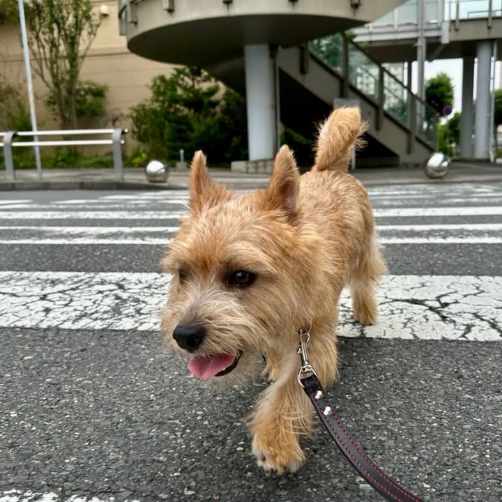 90a0fa29 0eac 42bc b428 5dbea0b6b7ca 1720774557705