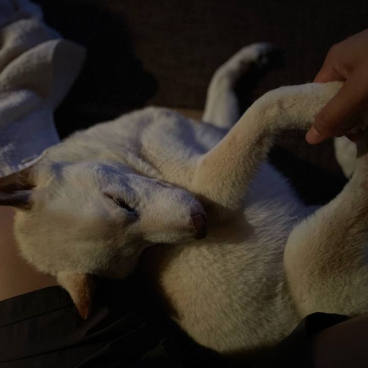 90a11112 aa8b 40fa ae88 1aa803709227 1659723077919