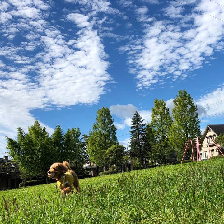 90a11776 35a7 45ff 9f93 a37137fb5b7d 1569284692049