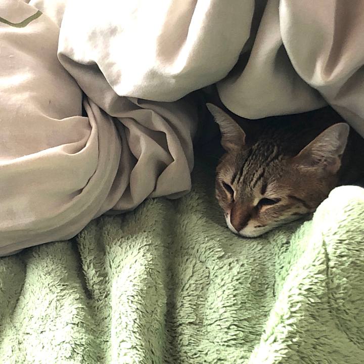 90a117e2 29c0 4c39 944a 3a4a79a0df3b 1645323136064