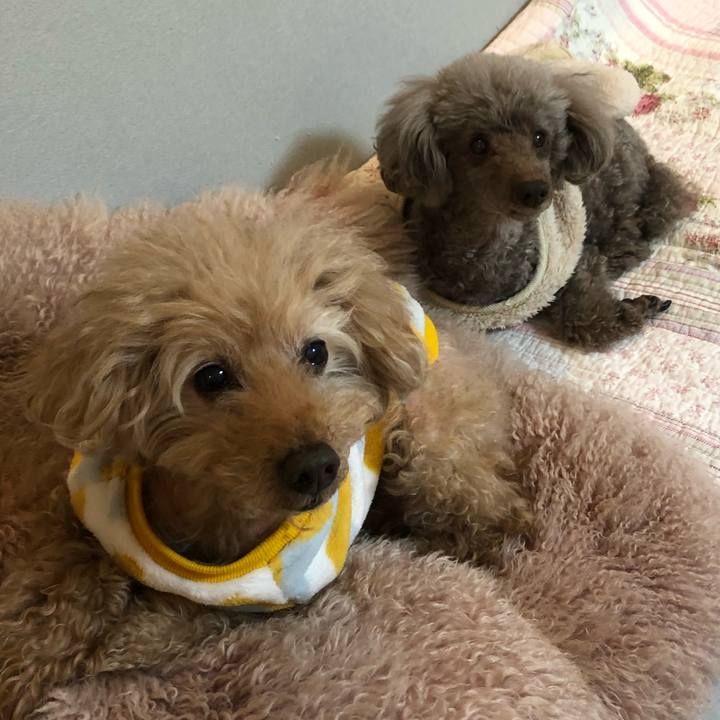 90a13499 ff0a 4470 a044 056405da2f5d 1642373582044