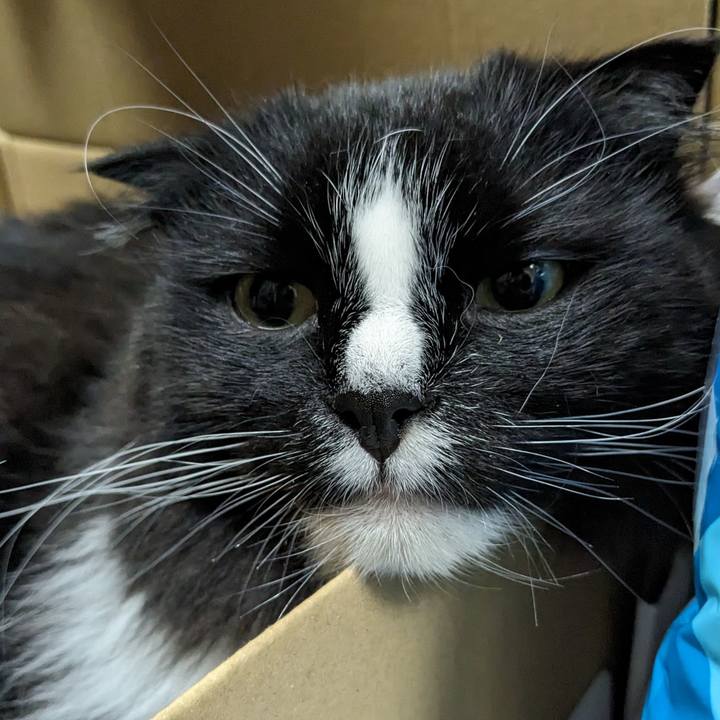 90a15472 6c13 4dff 94ed 49d80700367f 1716242963186