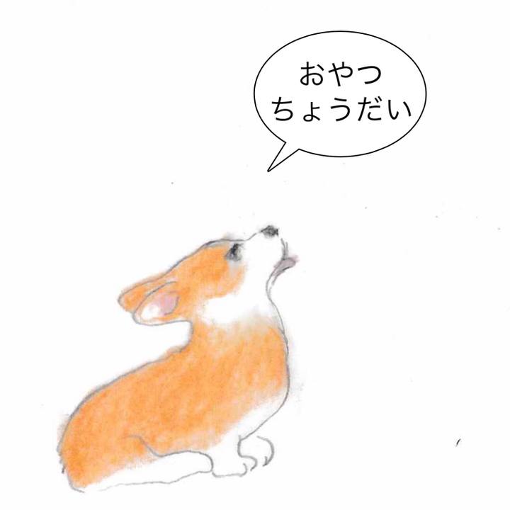 90a17940 5def 48ee a6be 61b1ea3fdec4 1570797878315