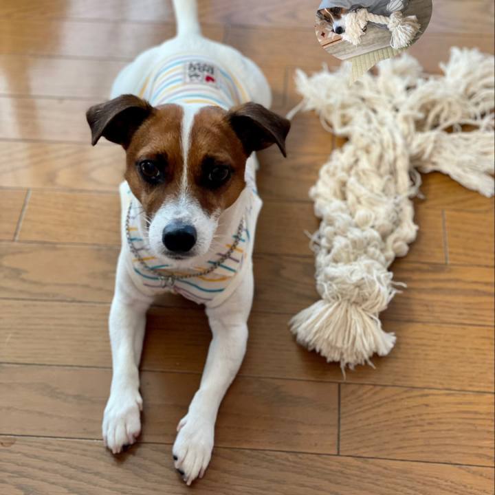 90a1876d 19d6 4fd0 aeea c07f384c69cc 1624839353734