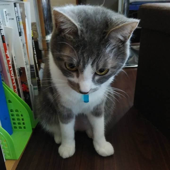 90a18987 1aa7 4ec1 9bf0 4a50276ca5f8 1586907147574