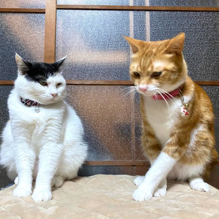 90a18c78 e953 413b b04e f7bbdc1ebd26 1653250617825