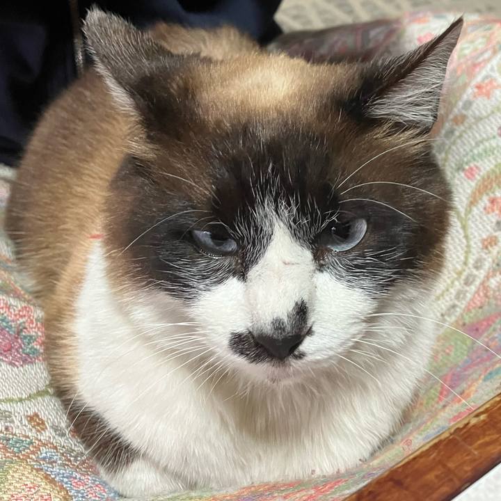 90a1ff6a 7a10 4168 9dad e284f251eff2 1746852292781