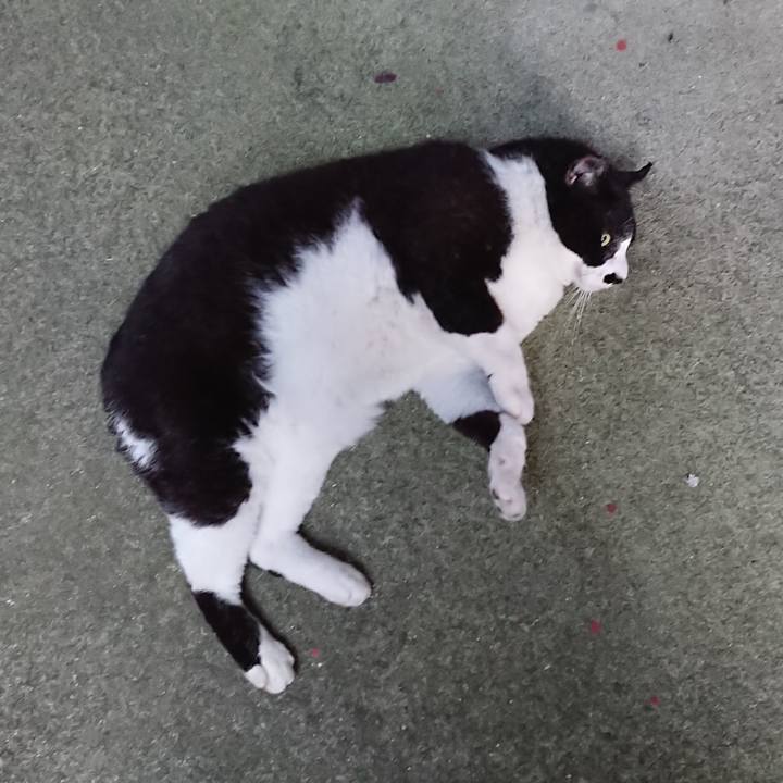 90a23934 a7e8 42a6 a68f cf9de8a98ab9 1632902915519